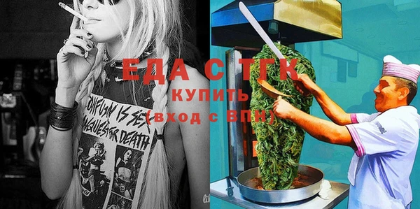 индика Дмитриев