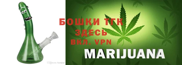 тгк Дмитров