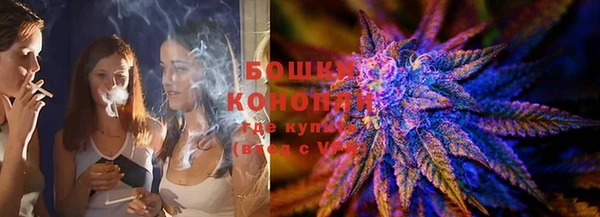 гашик Алексеевка