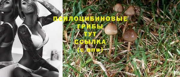 гашишное масло Алзамай
