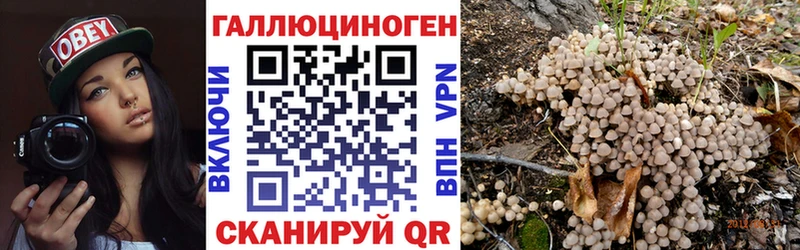 ссылка на мегу   Вилючинск  Псилоцибиновые грибы мицелий 